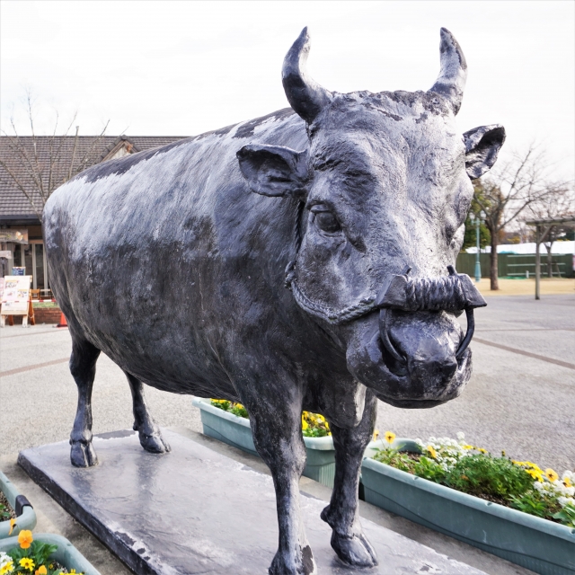 松阪牛　銅像