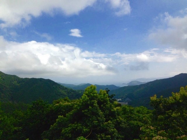 三重県熊野市の山