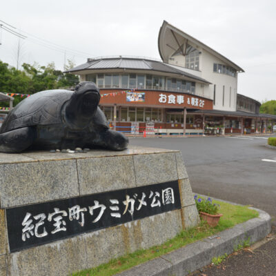 道の駅紀宝町ウミガメ公園の画像