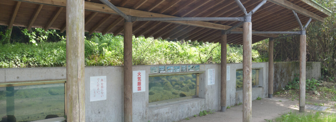 いなべ市水辺の里公園 自然水族館