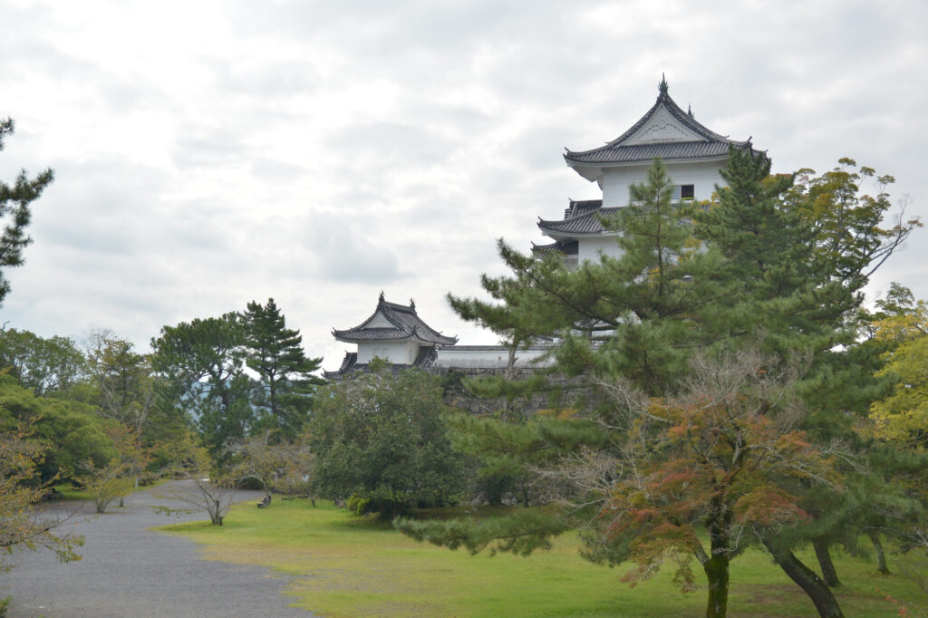 伊賀上野城の画像