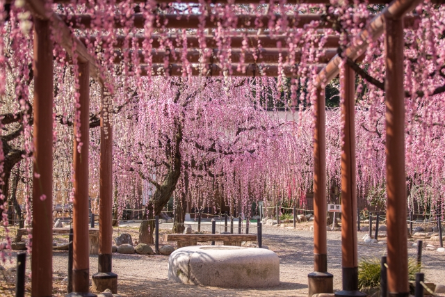 結城神社