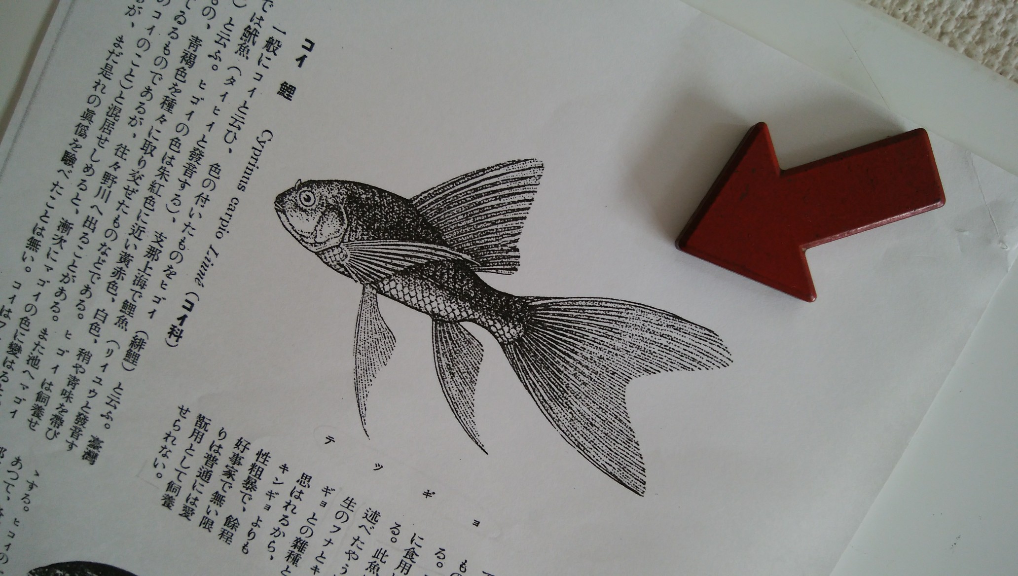 三重県の知られざる天然記念物「法念寺の鉄魚」とは？