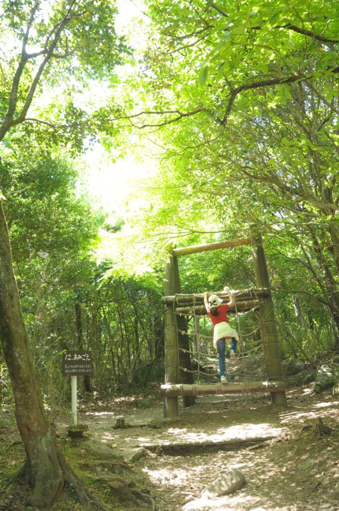 三重県民の森画像