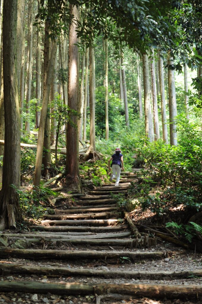 多度山画像