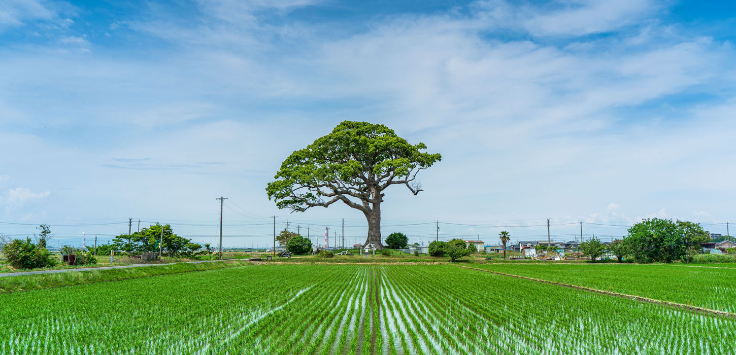 私の三重移住体験　（東京→三重・伊勢市）