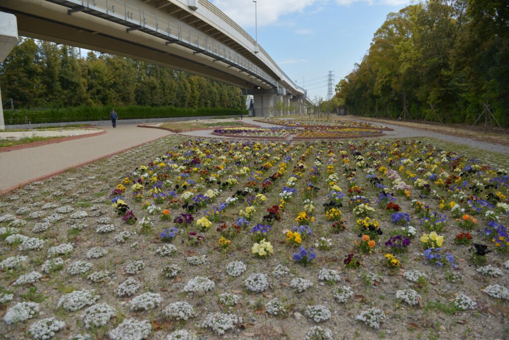 川越緑地公園画像