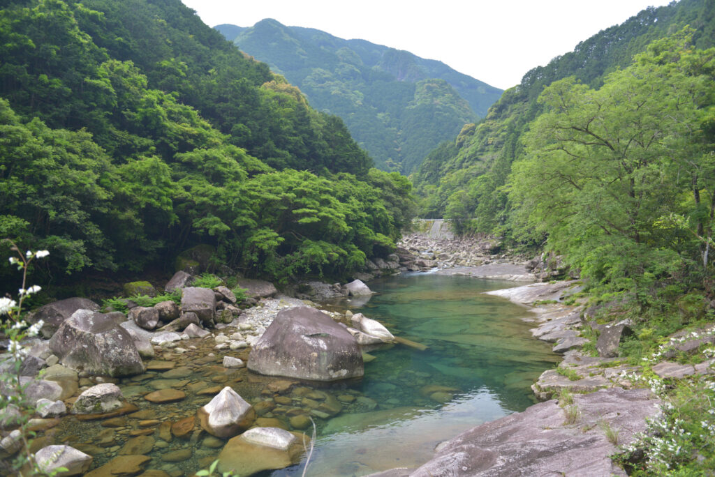 魚飛渓の画像