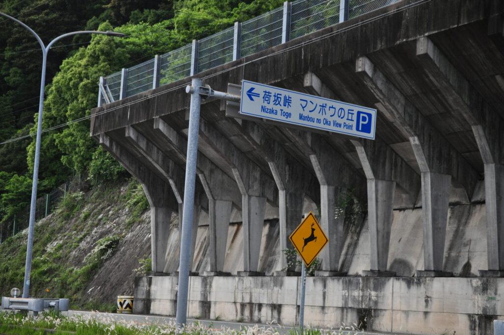 荷坂峠マンボウの丘画像