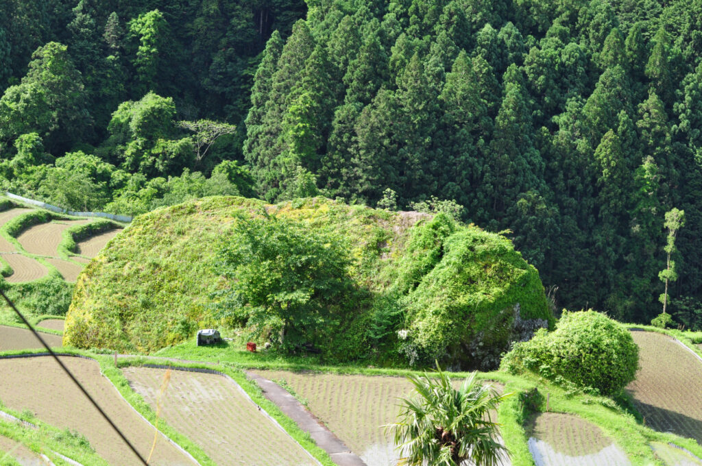 丸山千枚田の画像