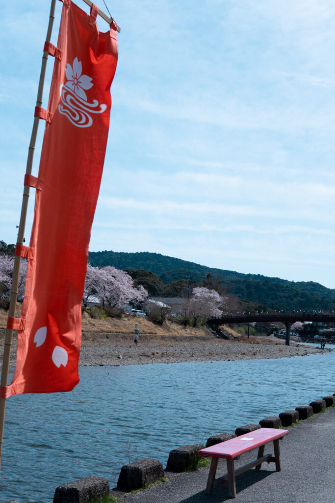 伊勢　おかげ横丁　五十鈴川　桜まつり