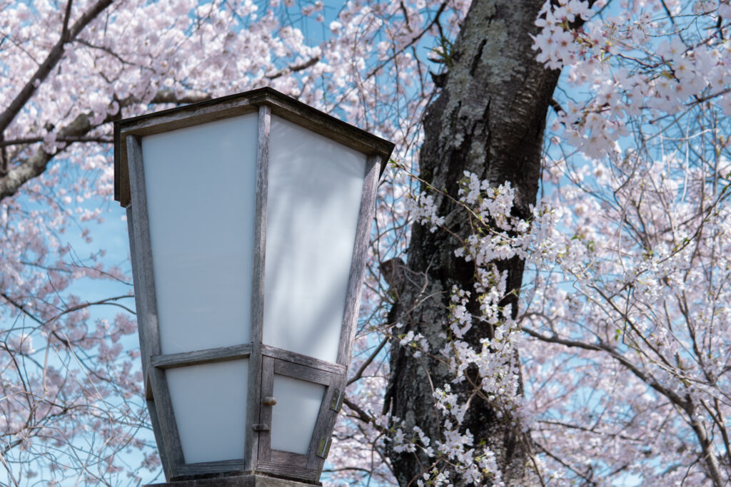 伊勢　おかげ横丁　五十鈴川　桜まつり