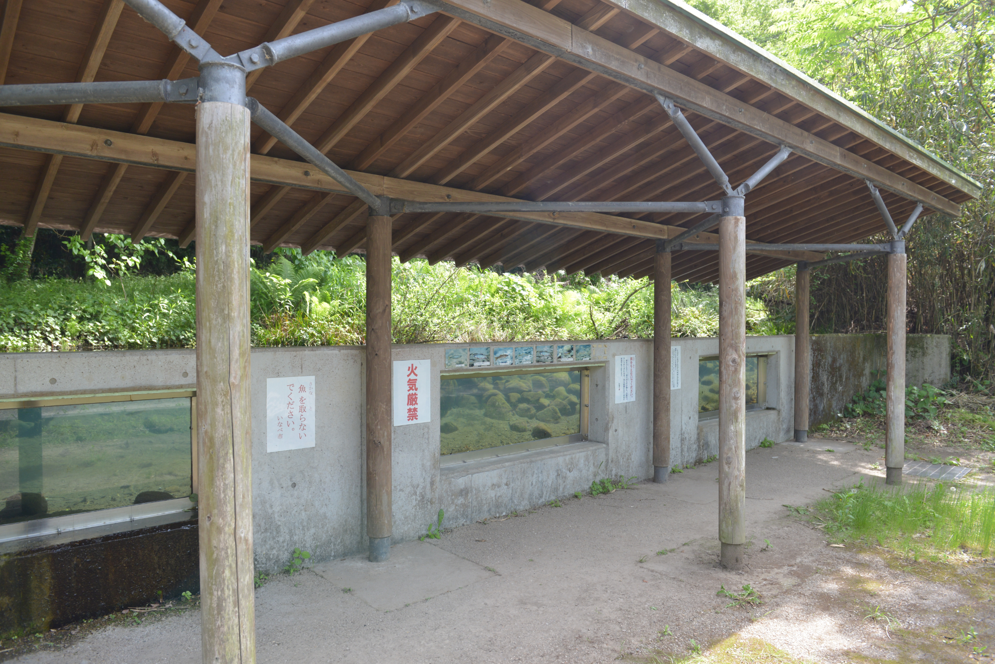 ワイルドすぎ！三重県いなべ市には謎の野外水族館がある