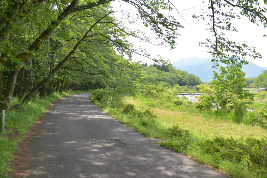 いなべ市水辺の里公園　自然水族館