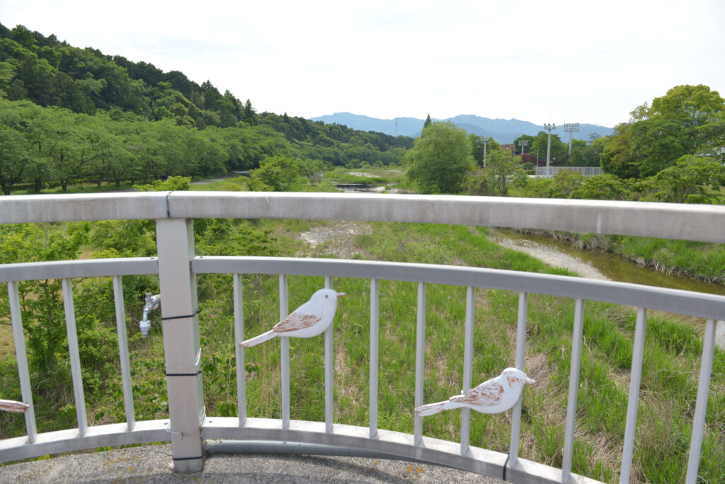 いなべ市水辺の里公園　自然水族館