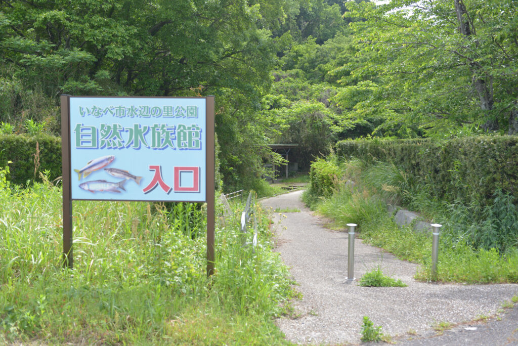 いなべ市水辺の里公園　自然水族館