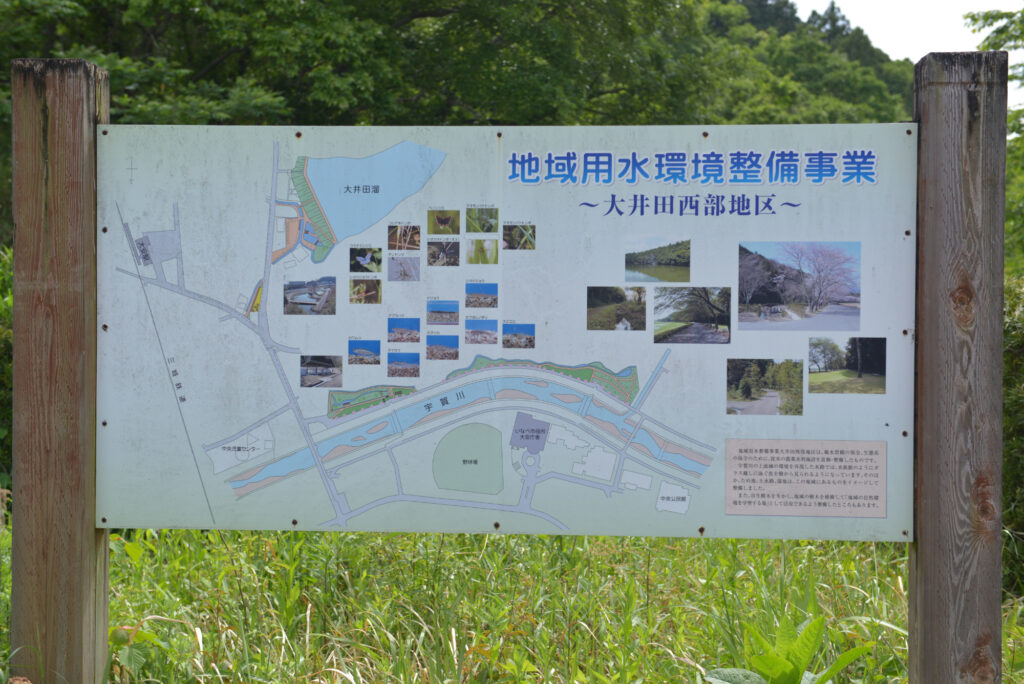 いなべ市水辺の里公園　自然水族館