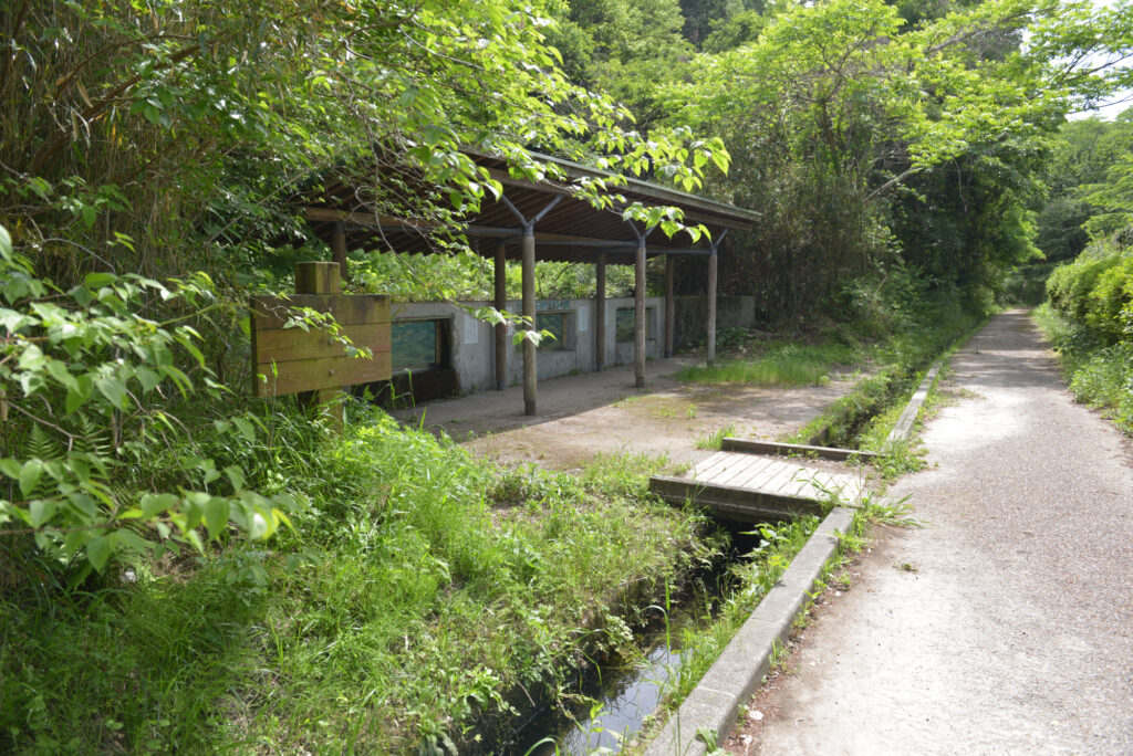 いなべ市水辺の里公園　自然水族館