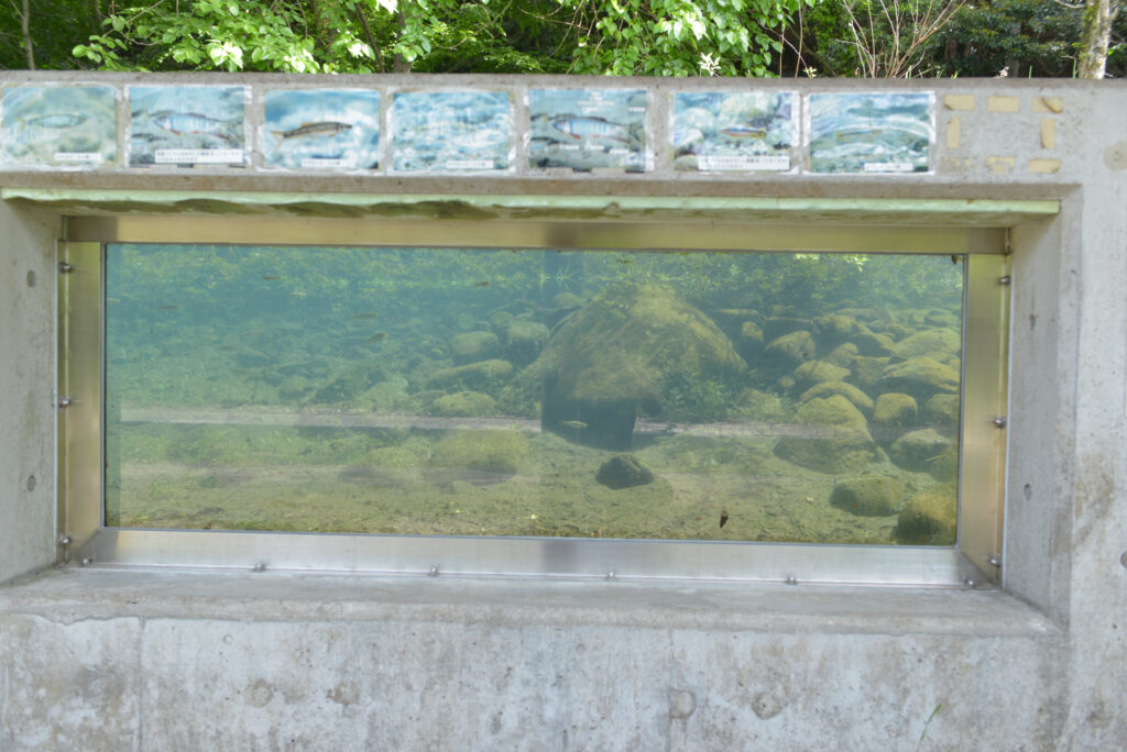 いなべ市水辺の里公園　自然水族館