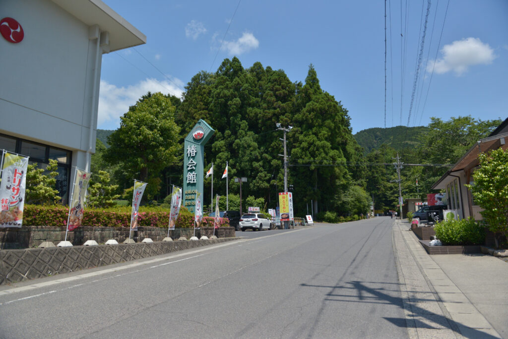 椿大神社画像