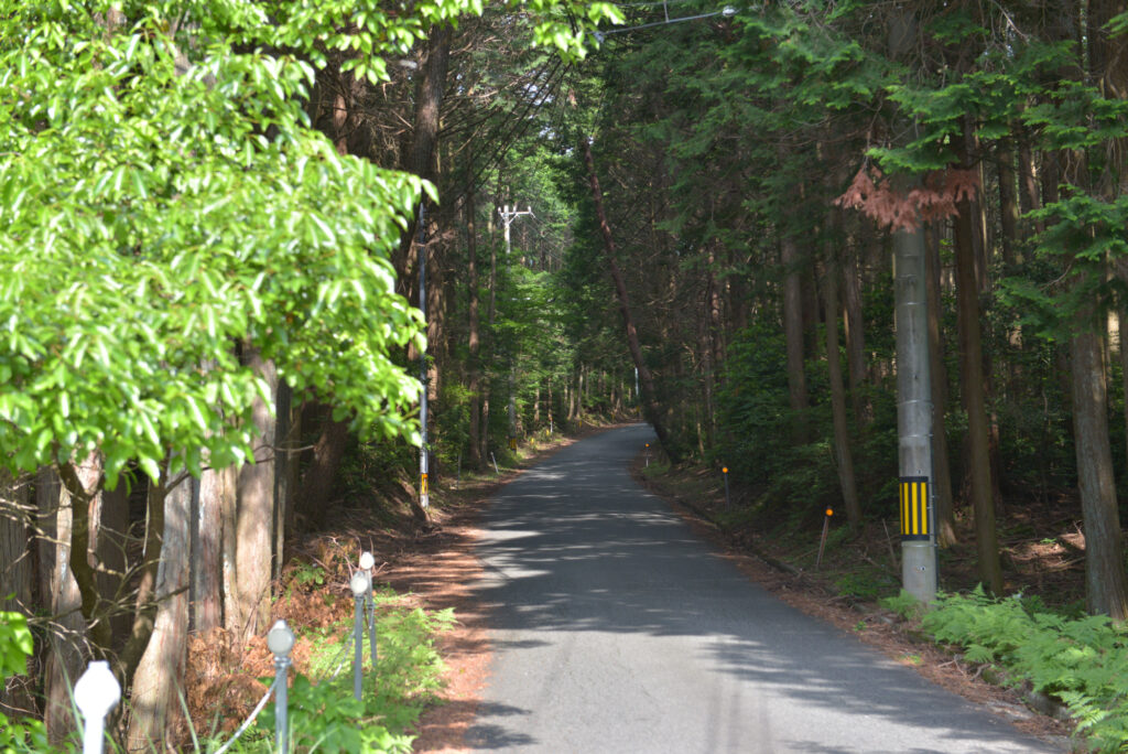 青山高原画像