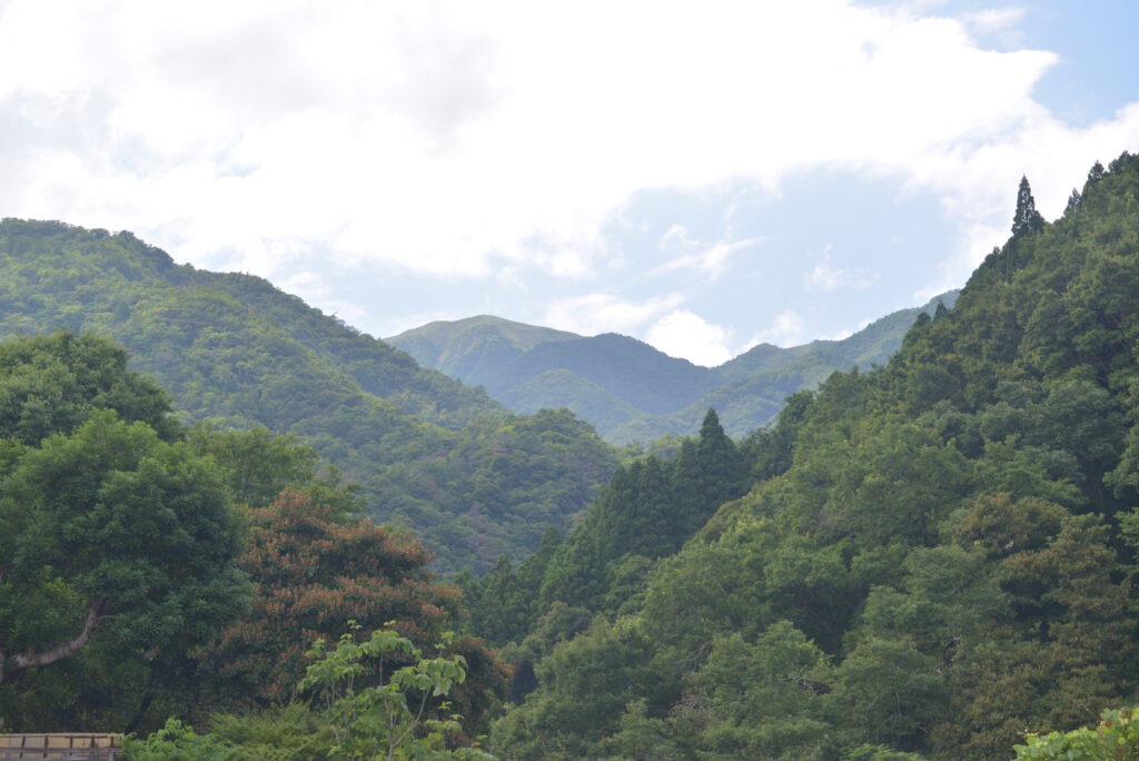 宇賀渓、竜のコバ画像