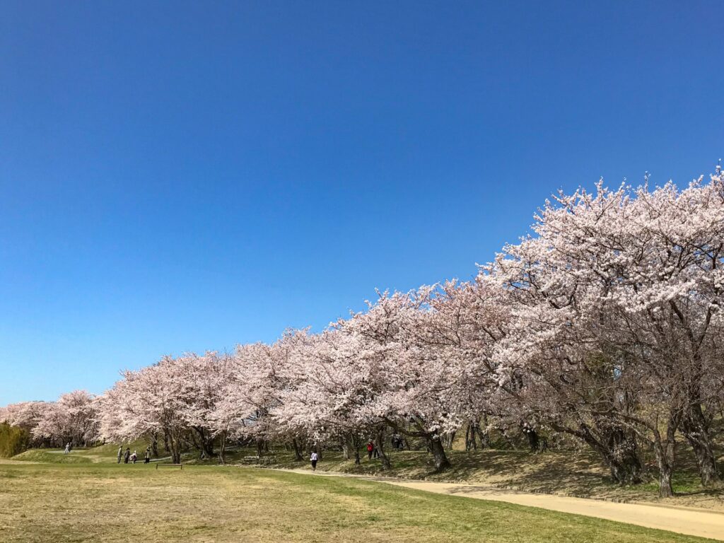 改めて「宮川」ってどんな川？