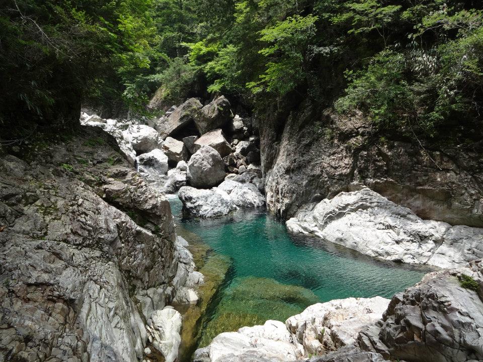 日本一きれいな川に輝いた宮川