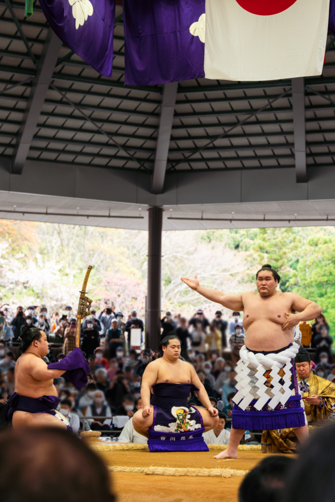 神宮奉納大相撲