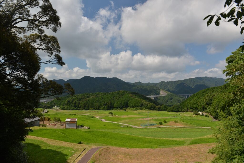 坂本棚田の画像