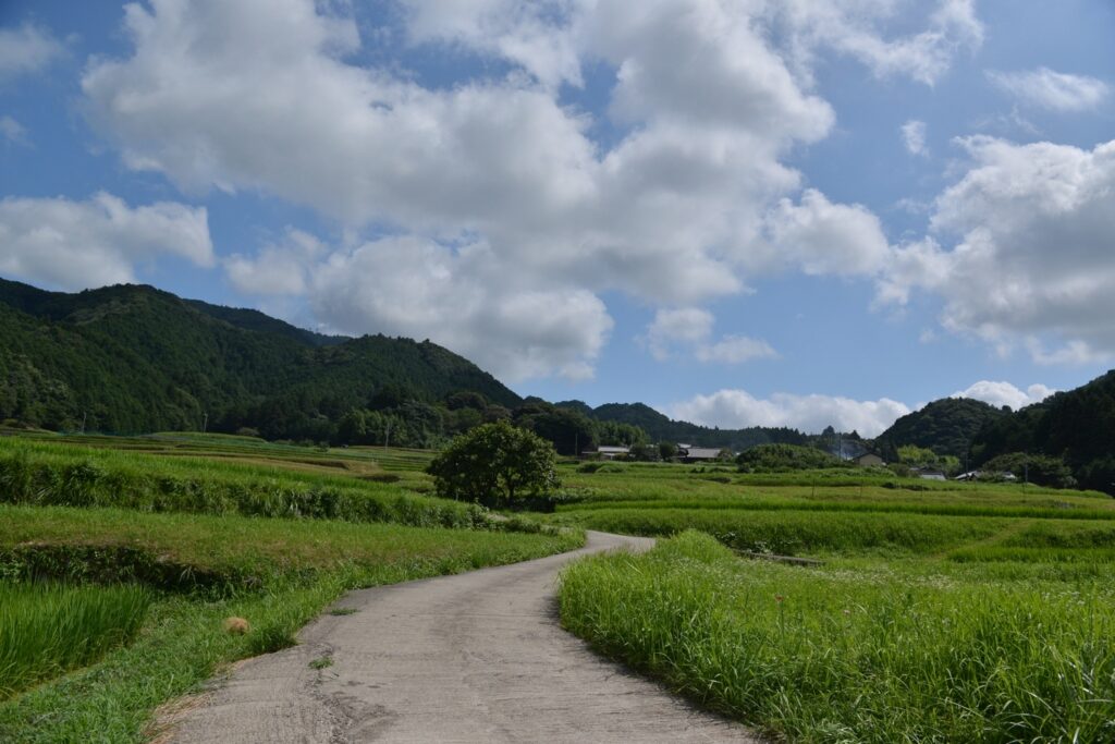 坂本棚田の画像