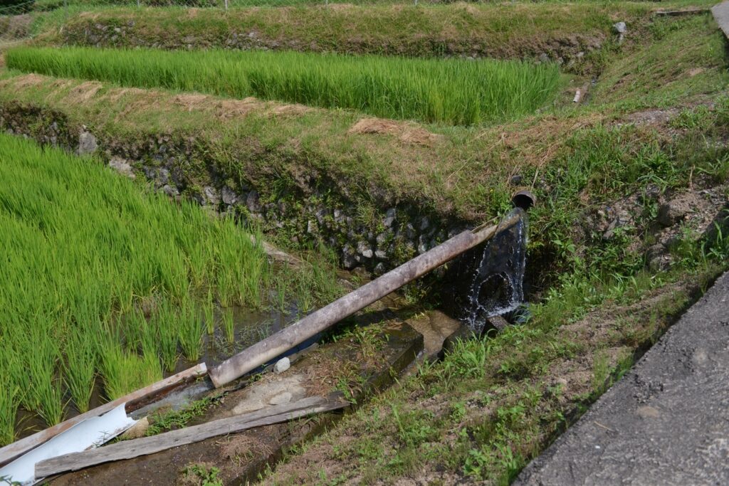 坂本棚田の画像